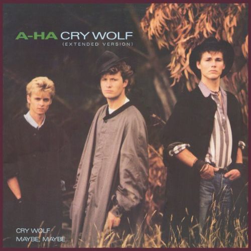 a-ha - Cry Wolf / Extended Version