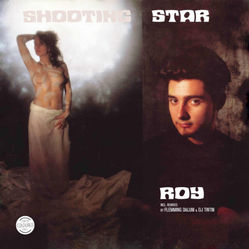 Roy - Shooting Star / 12 Inch Version / DJ TinTin Remix...