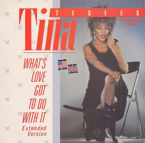 Tina Turner - Whats Love Got To Do With It / Extended Version