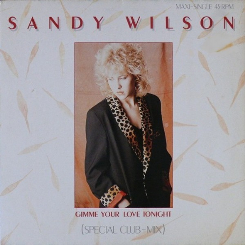 Sandy Wilson - Gimme Your Love Tonight / Special Club-Mix